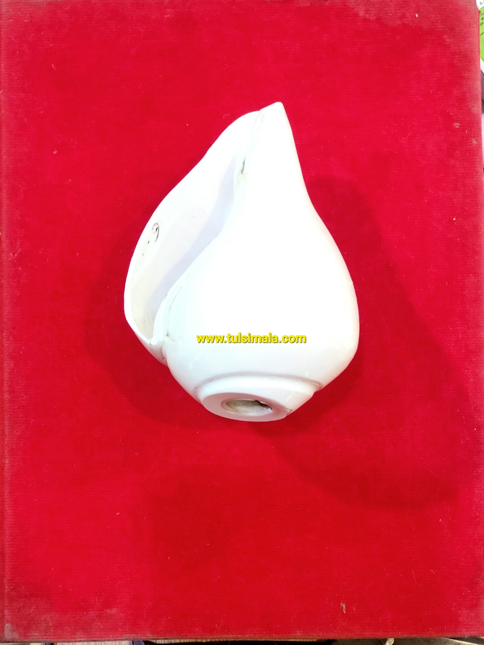 NATURAL BLOWING SHANKH FOR PUJA… 4 Inch Size