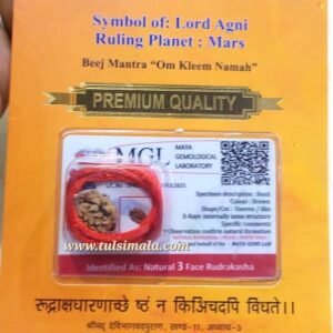 Original 3 Mukhi Certified Rudraksh With Lab Certificate