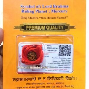 Original 4 Mukhi Certified Rudraksh With Lab Certificate